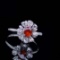 14k Gold 0.97 Ctw Natural Ruby & Diamond Ring/pendant