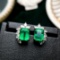 14k Gold 4.40 Ctw Vivid Green Natural Emerald & Diamond Earrings