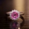 14k Gold 1.8 Ct Natural Sapphire & Diamond Ring