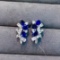 14k Gold 3.14 Ctw Vivid Blue Natural Sapphire & Sapphire Earrings