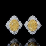 14k Gold 2.2 Ctw Natural Yellow Diamond & Diamond Earrings
