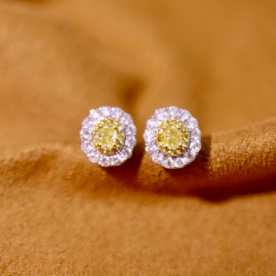 14k Gold 0.67 Ctw Natural Yellow Diamond & Diamond Earrings