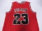 MICHAEL JORDAN SIGNED BULLS 23 JERSEY COA