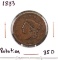 1833 Coronet Hair Large Cetn