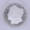 2024-S Morgan Dollar