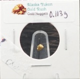 Alaskan Yukon Gold Nugget