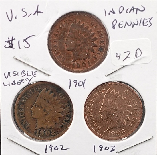 (3) Indian Head Cents