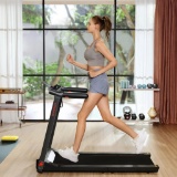 Kingsmith WalkingPad Pro Folding Treadmill - Black