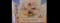 Big Jazz Drums Children Drum Set by Dig O