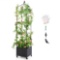 Indoor Outdoor Raised Garden Bed With Trellis And Self-Drainage