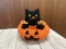 Black Cat in Pumpkin Plush Decoration
