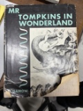 Mr. Tompkins in Wonderland by George Gamow
