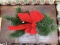Pine Garland w/ Red Bow