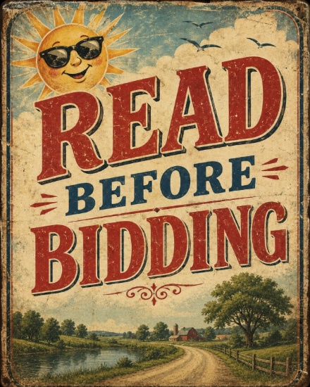 PLEASE READ BEFORE BIDDING