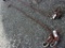 Rigging Cables w/Hooks 11'
