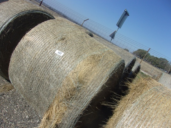 Round Bales(3) - Kline Grass 9% Protein