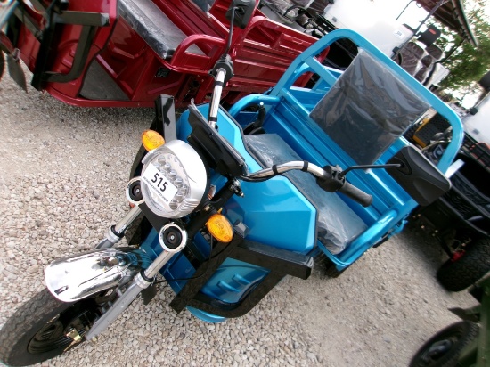 High End Electric Tricycle  (KEY, $50 Fee)