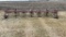 Noble 3pt Row Crop Cultivator