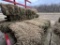 Square bales * New Boston *