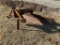 3 PT Blade *ROSEVILLE*