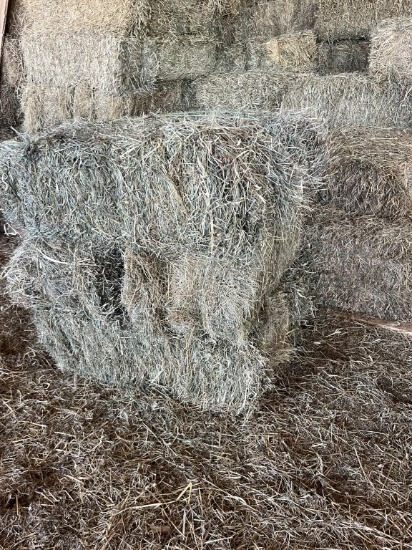 Square bales of hay *New Boston*
