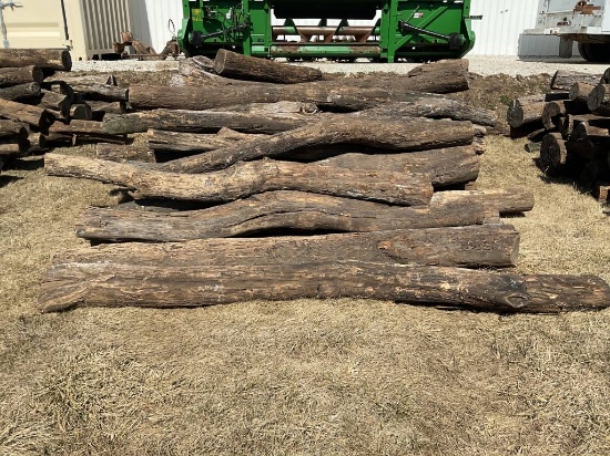 Hedge Posts *ROSEVILLE*