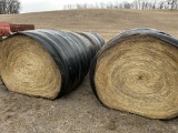 Hay *New Boston*