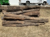 Hedge Posts *ROSEVILLE*