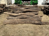 Hedge Posts *ROSEVILLE*