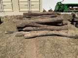 Hedge Posts *ROSEVILLE*