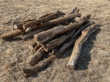 Hedge Posts *ROSEVILLE*