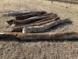 Hedge Posts *ROSEVILLE*
