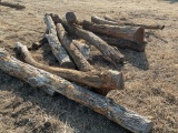 Hedge Posts *ROSEVILLE*