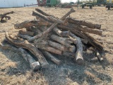 Hedge Posts *ROSEVILLE*