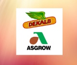 Certificate for 30 bags of Asgrow XtendFlex Soybeans.