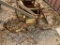 Antique Garden Planter
