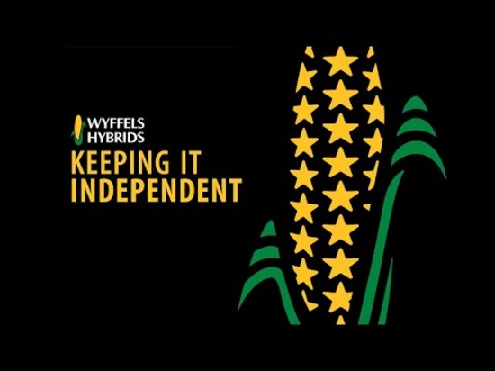 Wyffels Seed