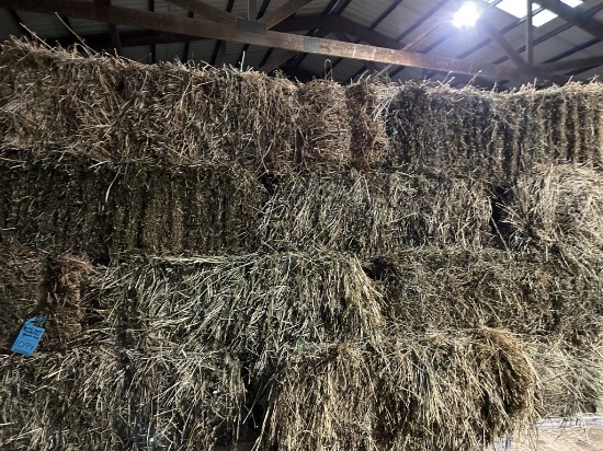 Square Bales Alfalfa/Grass Hay