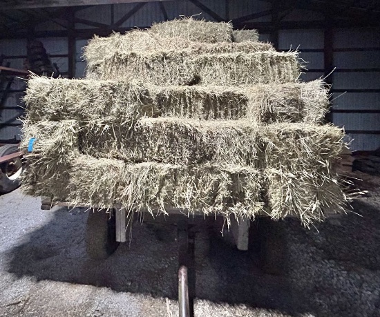 Square Bales Alfalfa/Grass Hay