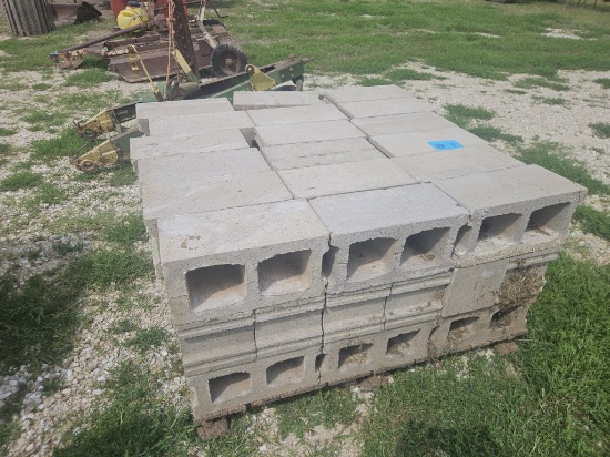 Cement blocks 54+ or -