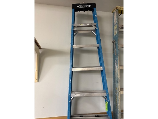 Werner Blue Step Ladder