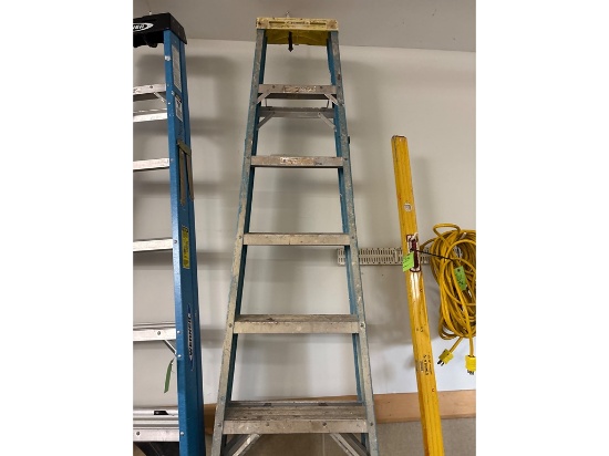 Blue Multi-Step Ladder