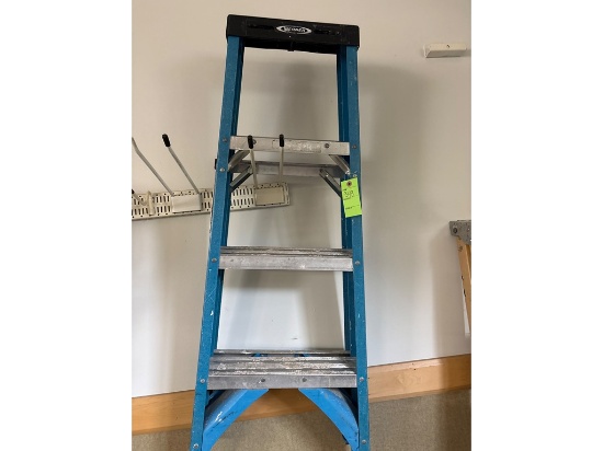 Werner Blue Step Ladder