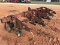 Five Row Cultivator