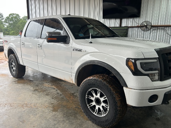 2010 Ford F150