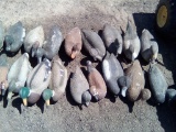 Duck Decoy's 18x the money