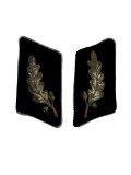 RARE German WW2 SA Standartenfuhrer Collar Tabs pair for Senior Officer Paramilitary rank in Nazi Pa