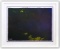 Wyland- Original Watercolor Painting on Deckle Edge Paper 
