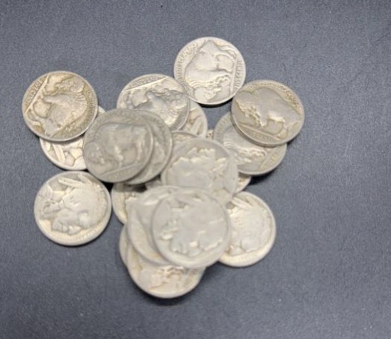 20 Unsearched Buffalo Nickels