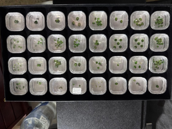 Gemstones- 32 containers- Chrome Diopside
